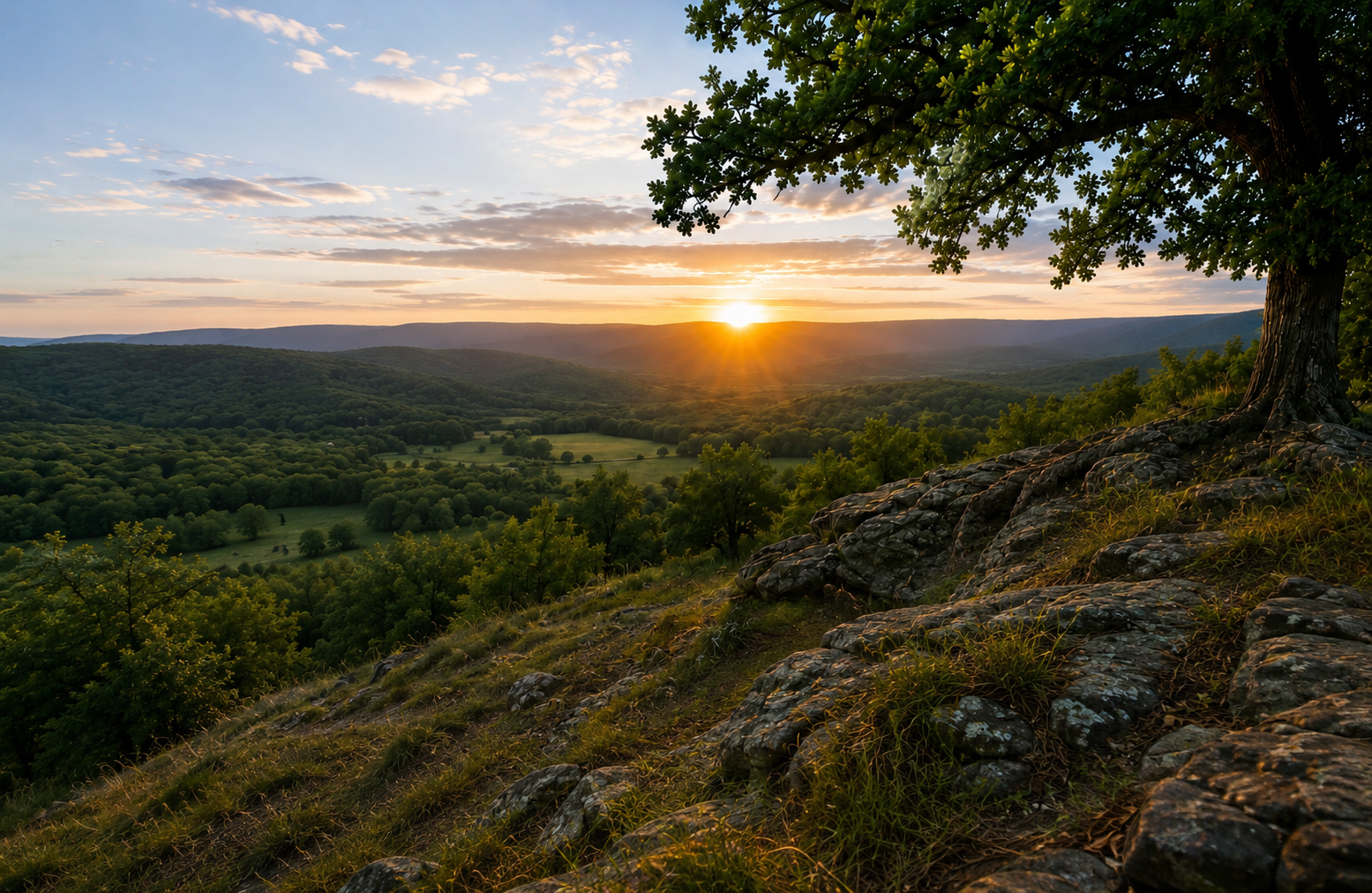 Scenic landscape backdrop